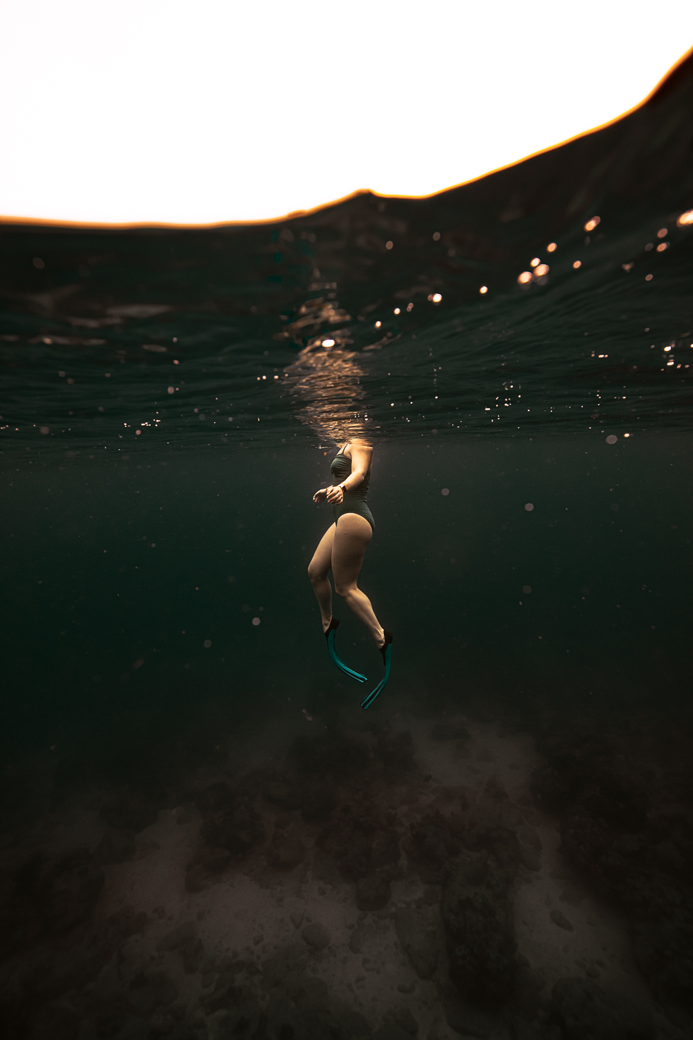 Photographe aquatique underwater 