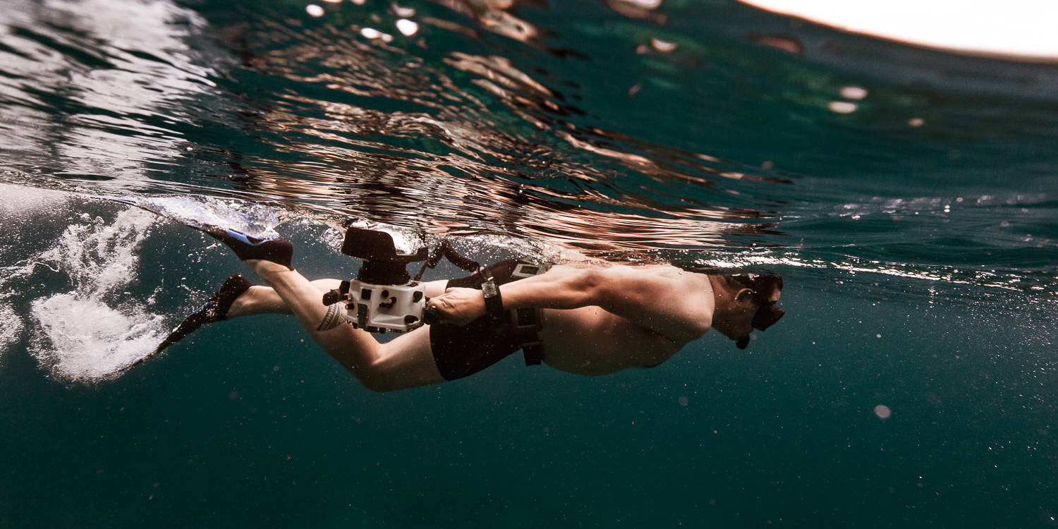 Photographe underwater