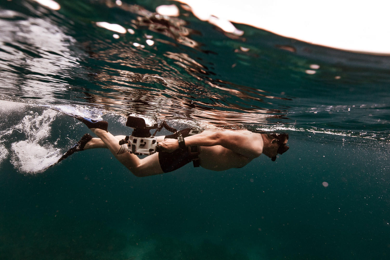 Photographe underwater